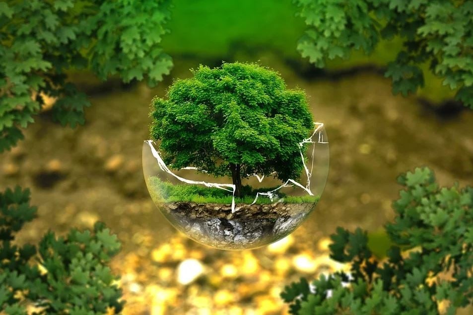 Environmental